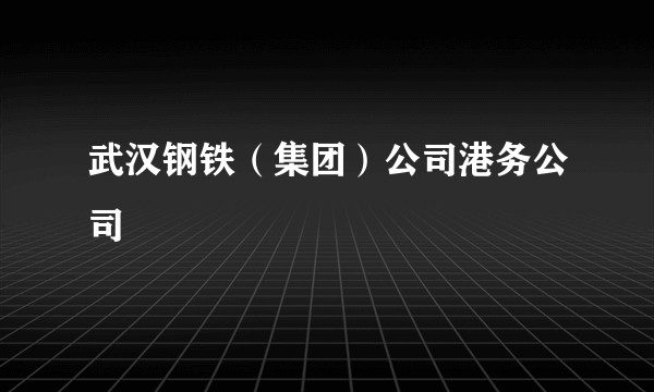 武汉钢铁（集团）公司港务公司