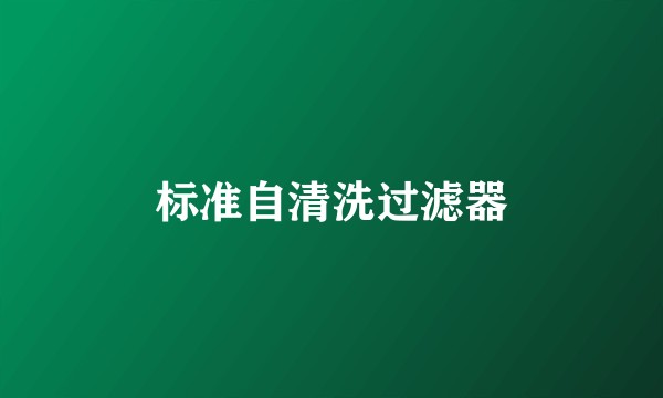 标准自清洗过滤器