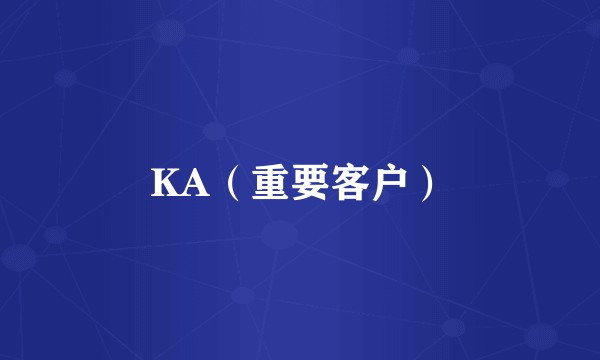 KA（重要客户）