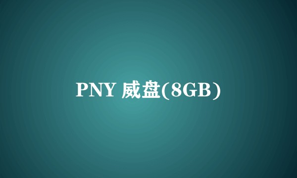 PNY 威盘(8GB)
