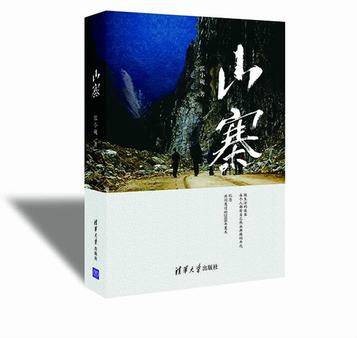 山寨（2014年清华大学出版社出版的图书）