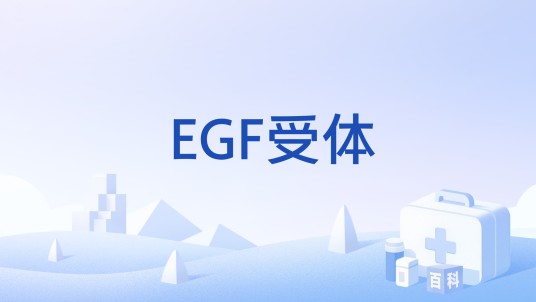 EGF受体