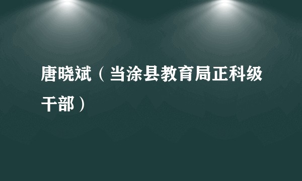 唐晓斌（当涂县教育局正科级干部）