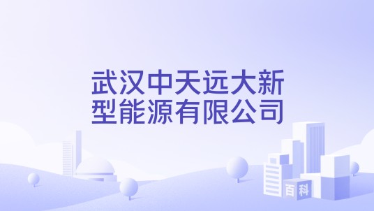 武汉中天远大新型能源有限公司