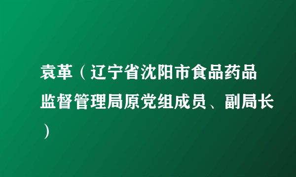 袁革（辽宁省沈阳市食品药品监督管理局原党组成员、副局长）