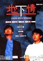 地下情（1986年关锦鹏执导的电影）