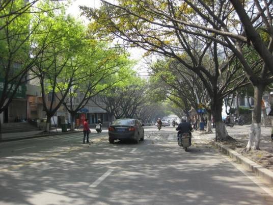 青新社区（福建省泉州市晋江市青阳街道下辖社区）