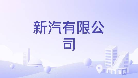 新汽有限公司