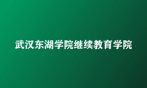 武汉东湖学院继续教育学院