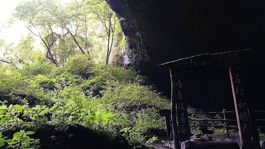 川洞庵