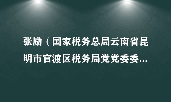 张励（国家税务总局云南省昆明市官渡区税务局党党委委员、副局长）