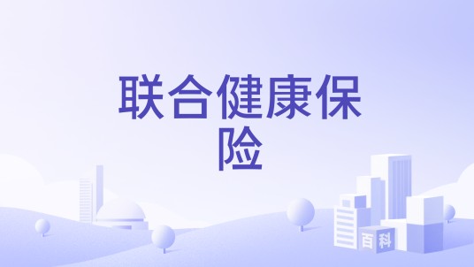 联合健康保险