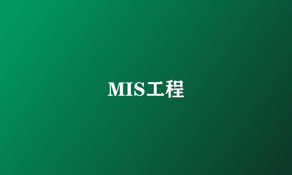 MIS工程