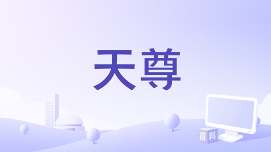 天尊（MMORPG类网络游戏）