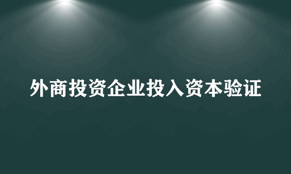 外商投资企业投入资本验证