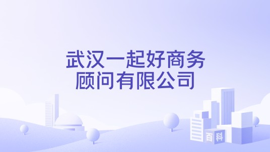 武汉一起好商务顾问有限公司
