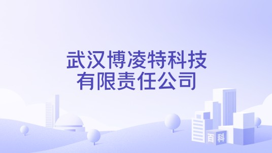 武汉博凌特科技有限责任公司