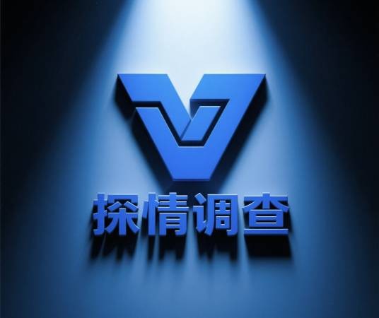 武汉探情商务调查有限公司