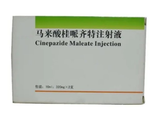 马来酸桂哌齐特注射液