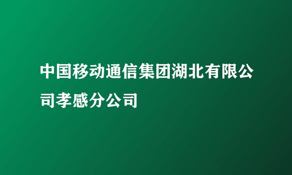 中国移动通信集团湖北有限公司孝感分公司