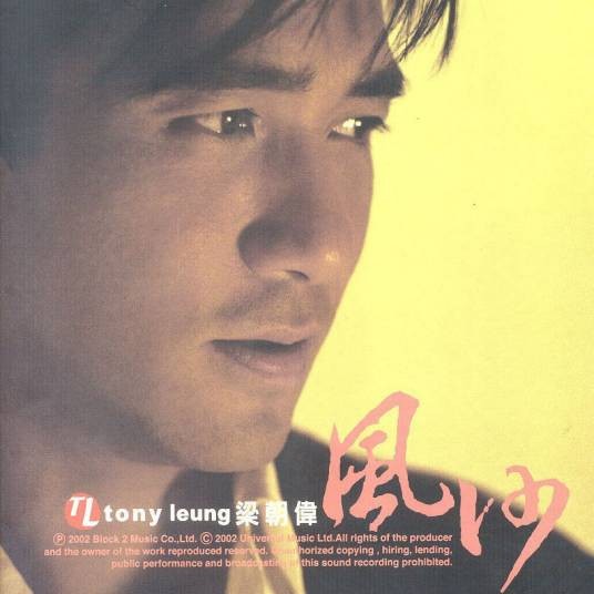 名字（2002年梁朝伟主唱歌曲）