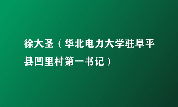 徐大圣（华北电力大学驻阜平县凹里村第一书记）