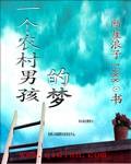 一个农村男孩的梦