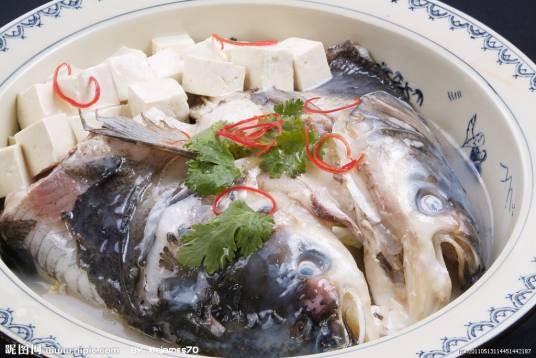 鱼头炖豆腐