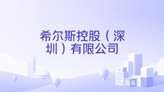 希尔斯控股（深圳）有限公司