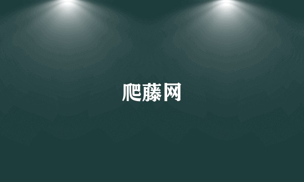 爬藤网