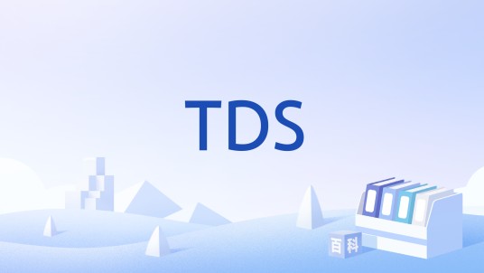 TDS(预扣所得税)