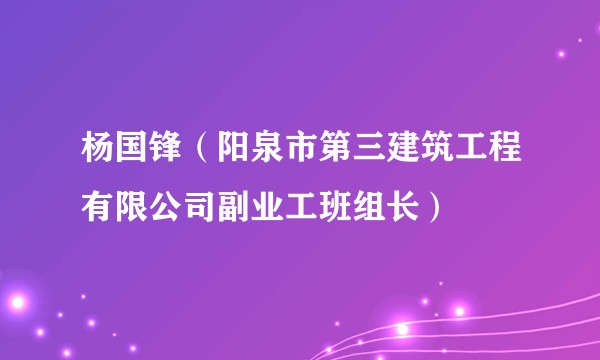 杨国锋（阳泉市第三建筑工程有限公司副业工班组长）