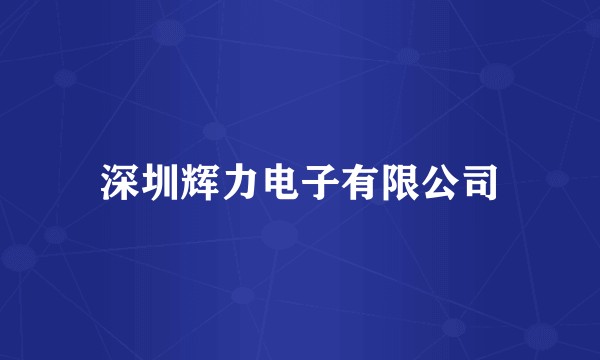 深圳辉力电子有限公司