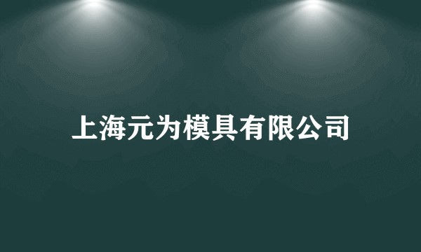 上海元为模具有限公司