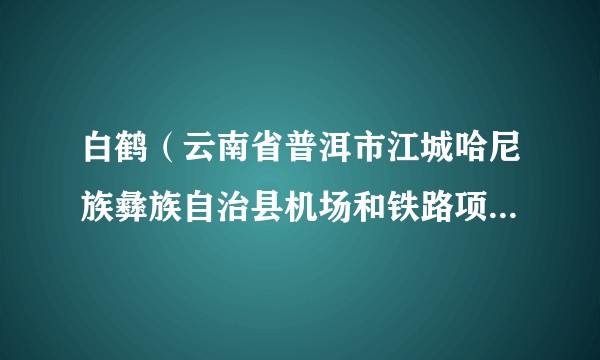 白鹤(云南省普洱市江城哈尼族彝族自治县机场和铁路项目建设工作协调领导小组办公室主任)