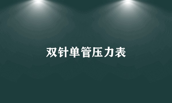 双针单管压力表