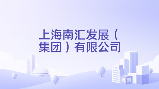上海南汇发展（集团）有限公司