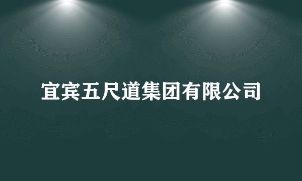 宜宾五尺道集团有限公司