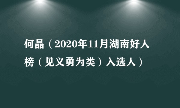何晶（2020年11月湖南好人榜（见义勇为类）入选人）