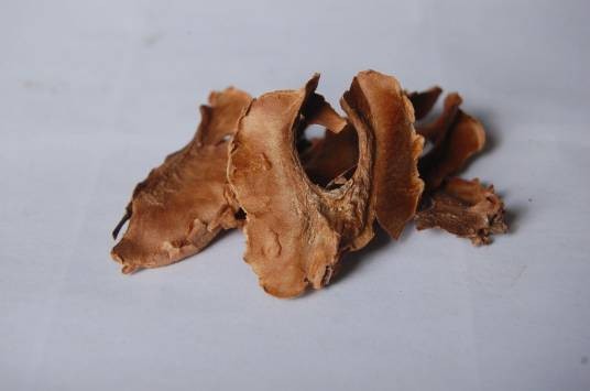 分心木