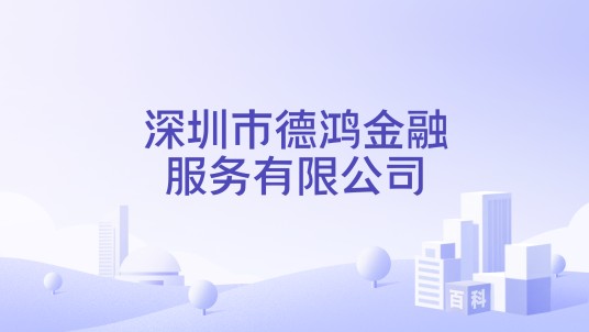 深圳市德鸿金融服务有限公司