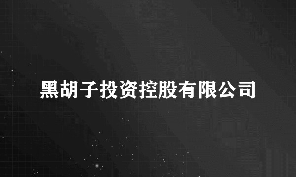 黑胡子投资控股有限公司