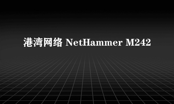 港湾网络 NetHammer M242