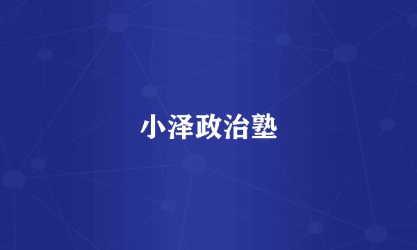 小泽政治塾