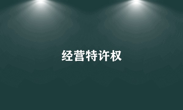 经营特许权