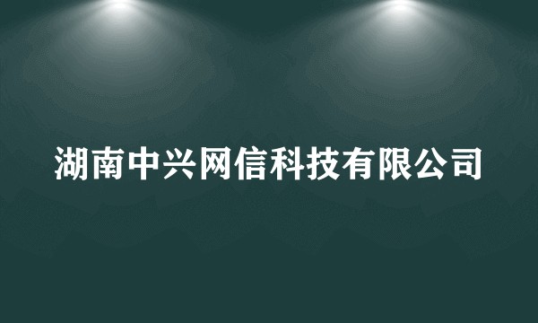 湖南中兴网信科技有限公司