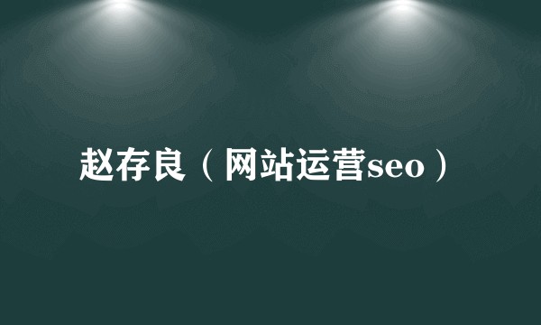 赵存良（网站运营seo）