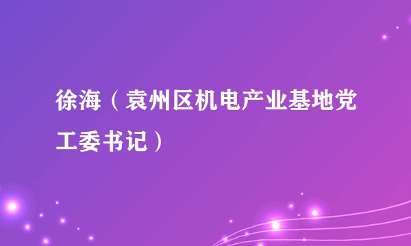 徐海（袁州区机电产业基地党工委书记）