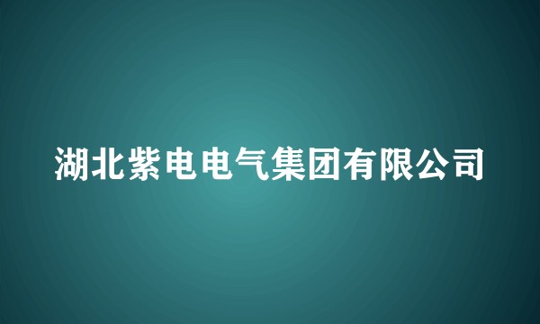 湖北紫电电气集团有限公司