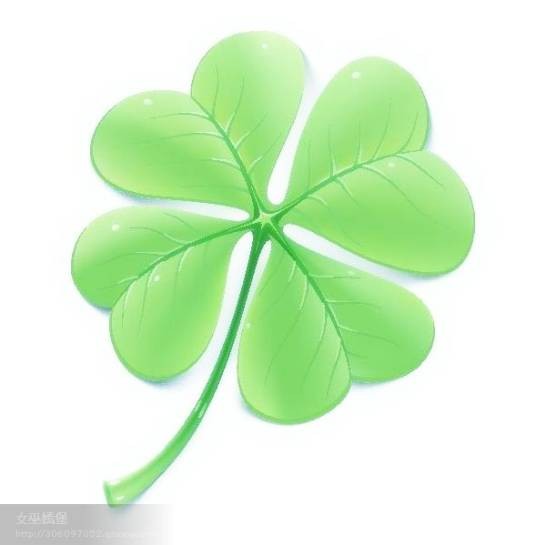 四叶草（水生蕨类植物）
